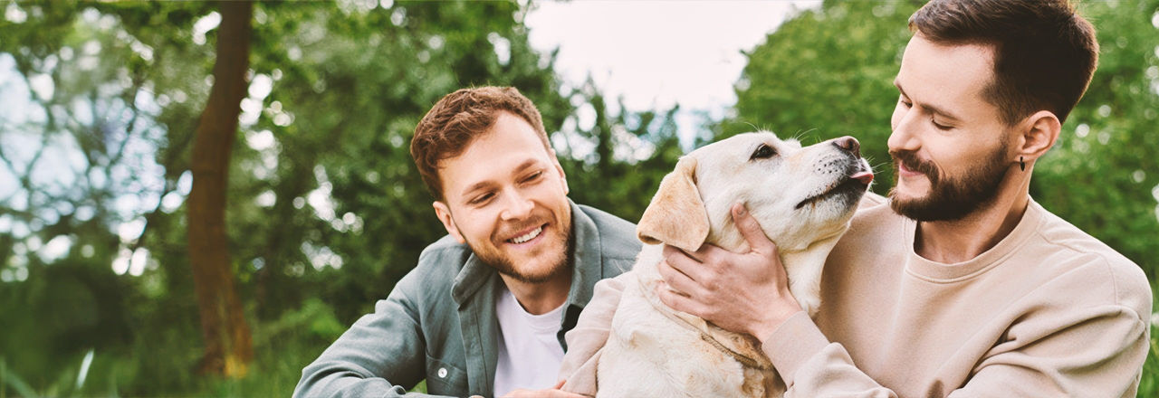 Zwei Männer gehen mit einem Hund spazieren und sprechen über Penisprothesen