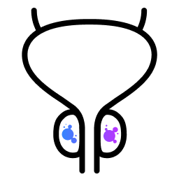 Symbol für Prostatakrebs